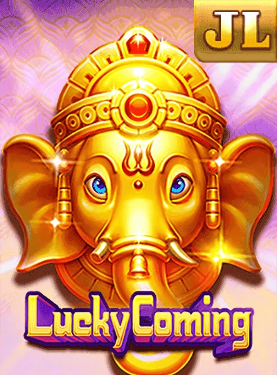 T20 cricket match betting cover